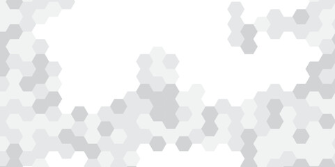 Abstract technology hexagonal background. Illustration of a white background with hexagonal template. White hexagon honeycombs background. Hexa gray Abstract Geometric Wide Banner Design.