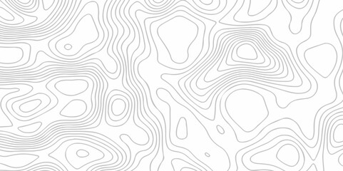 Topographic map lines contour background. Grid geographic relief topographic map pattern background vector. Vector seamless background topography stylized height of the lines map.	