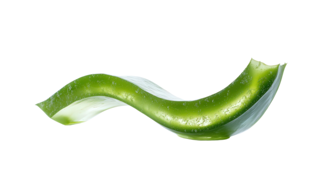 Gel-filled aloe segment, Transparent background, PNG file