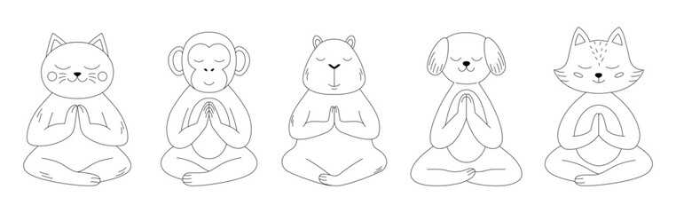 Meditating animals on a white background.