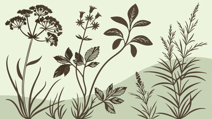 Elegant Botanical Meadow Design featuring Silhouettes of Wildflowers and Grasses perfect for Branding or Print