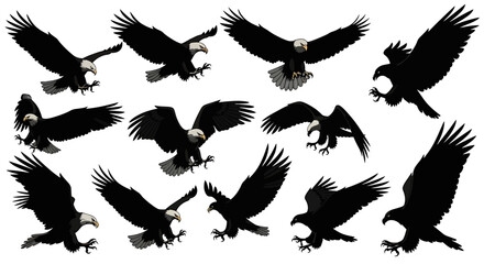 Vector Illustrations of Bald Eagles in Various Flight Poses