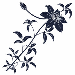 Fototapeta premium black and white clematis