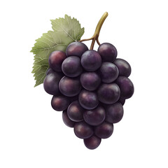 Fresh ripe grapes bunch with leaf isolated, healthy fruit nutrition on transparent background