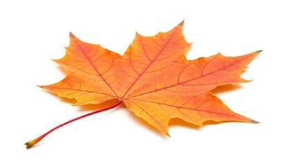 Bright Orange Maple Leaf &ndash; Seasonal Fall Symbol
