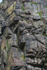 Detailed view of a rugged rock face with various textures and colors in nature.
