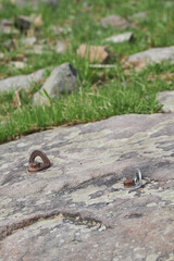 A detailed shot showcases climbing anchors fixed in a textured rock surface outdoors.