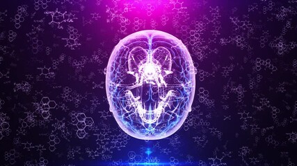 Glowing Brain Scan with Chemical Formulas and Molecular Structures on a Purple Background - Powered by Adobe