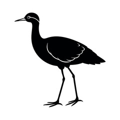 jacana vector silhouette