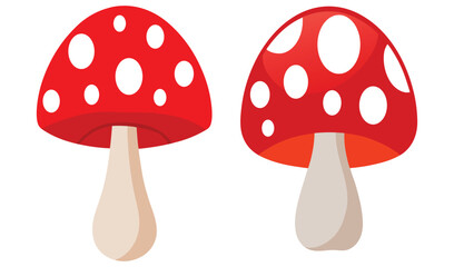 Two red mushrooms with white spots illustration