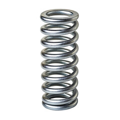 Close-up of a metallic coil spring.