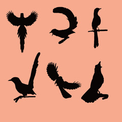 bird icon