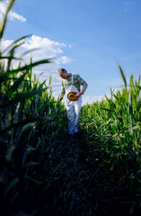 Adult male farmer walking in green wheat field examining crop.