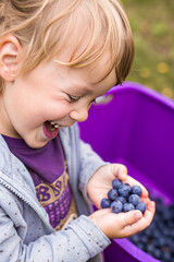 Adorable kid holding blueberry fruit and smiling over violet studio background. Healthy relationship with food and child nutrition concept. Healthy baby food with vitamins and kids vegetarianism
