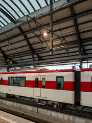Commuter Train at Bustling Urban Station.
