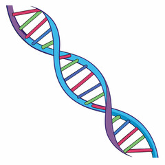 dna strand on white background