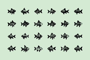 Rosy Barb, aquarium fish, vector art illustration