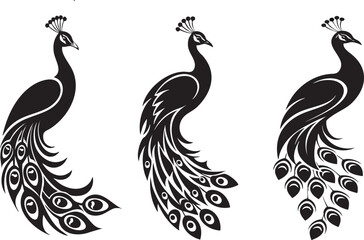 Three stylized peacocks in black and white, elegant and artistic designs