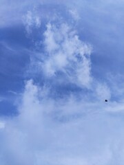 airplane flying in the sky