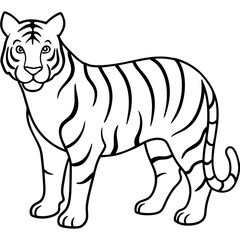 Tiger Trace line art vector 
