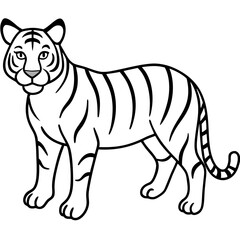 Tiger Trace line art vector 