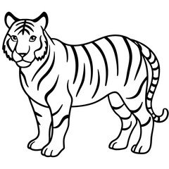 Tiger Trace line art vector 