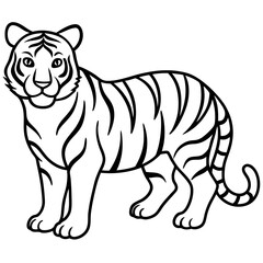 Tiger Trace line art vector 