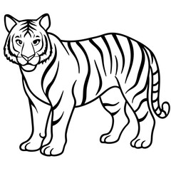 Tiger Trace line art vector 