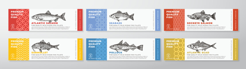 Fish Seafood Vector Packaging Label Design Collection Modern Typography and Hand Drawn Salmon, Seabass, Atlantic Fish and Surmullet Product Background Layouts Set