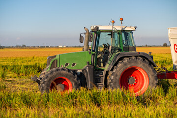 Obraz premium Tractor working in rice field during harvest, Piedmont