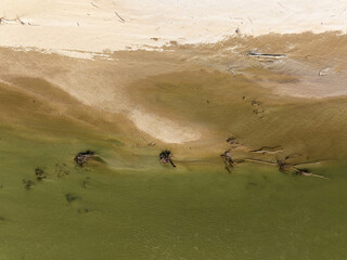 Aerial Photo of Gravel Bar with Stranded Trees on the Drava River, Croatia