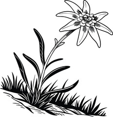 A timeless black and white floral background featuring elegant flower, leaf, and branch elements, perfect for vintage nature-inspired designs