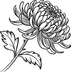 Black and white floral seamless pattern with vintage flower and leaf illustrations perfect for nature-inspired design