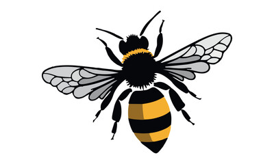 bee vector on white background.