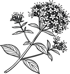 Elegant black and white floral pattern with seamless flower, leaf, and branch illustrations for vintage design and decoration