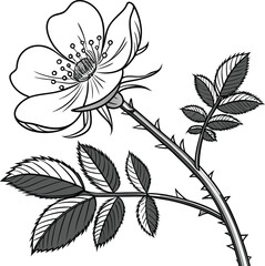 Black and white seamless floral pattern with vintage flower, leaf, and blossom illustrations for a nature-inspired design