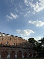 Capture the quiet coexistence of trees and blooming flowers in a public park setting. This series highlights the beauty of curated nature—majestic trunks, soft petals, filtered sunlight, and the peace