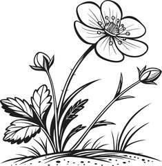 Monochromatic floral designs featuring elegant flower vectors, nature-inspired patterns, and vintage botanical illustrations