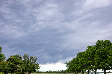 Fototapeta premium trees and clouds