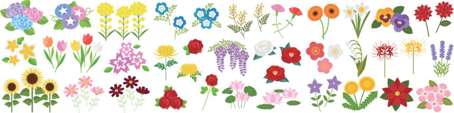 定番のお花イラスト素材セット