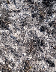Scorched Earth: A Detailed View of Post-Fire Debris and Ash Texture