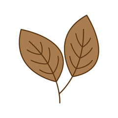 Autumn Maple symbol icon