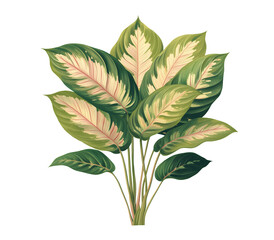 Bunch of lush tropical variegated leaves with green pink and cream tones isolated on transparent background, png
