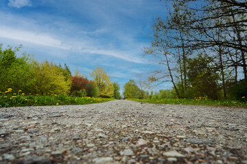 Spring landscape Spring time Road through garden Blossom time Good weather Background Banner
