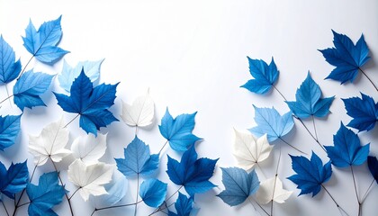 Blue and White Dried Leaves Silhouette Shadow Play on White Background