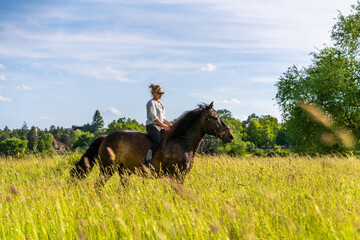 Dynamic scene of young woman galloping on horse without saddle across grassy field. Landscape...