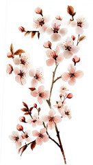 A bunch of peach blossoms light pink and white flowers generative AI