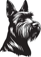 black and white scottish terrier dog portrait