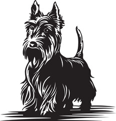 standing scottish terrier dog