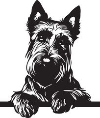 peeking scottish terrier dog with paws and bottom bar